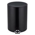 Modern Style Powder Coated Soft Close Pedal Bin, Plastic Inner bucket, ABS lid Shinny Finish