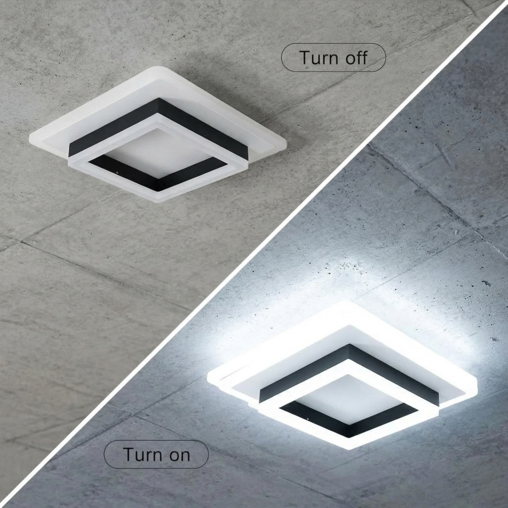 Fingey Modern Square LED Ceiling Light, Black & White Acrylic Flush Mount Light, 6500K Cool White, 220V, Non-Dimmable, 20cm 24W or 30cm 30W